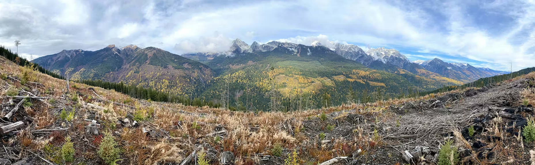acpu zincton landscape